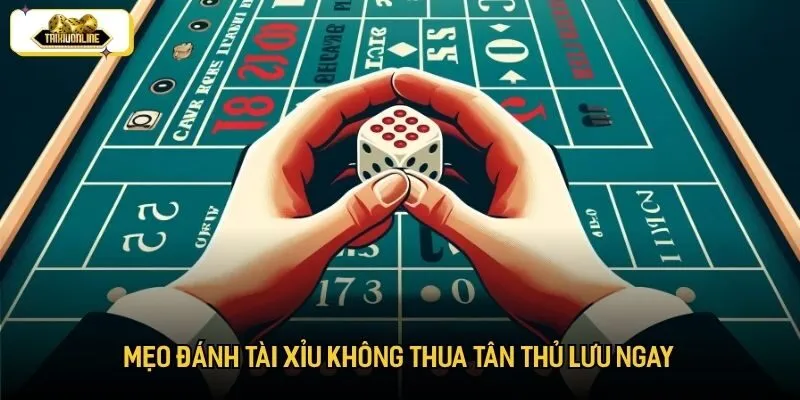 Mẹo đánh tài xỉu không thua tân thủ lưu ngay