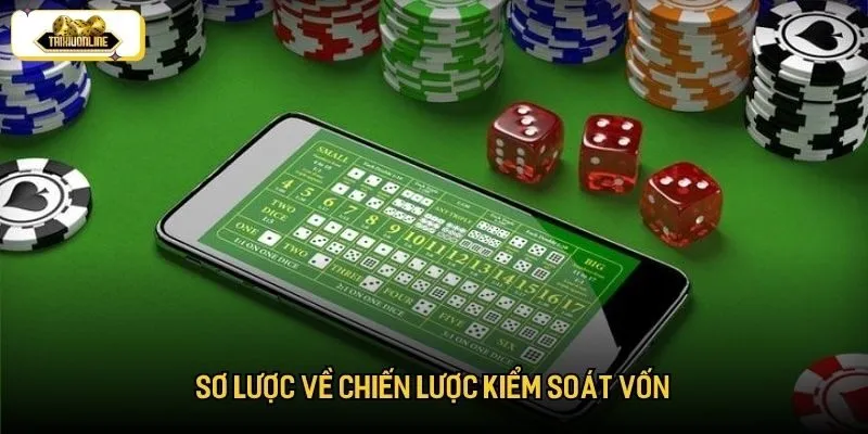 Sơ lược về chiến lược kiểm soát vốn